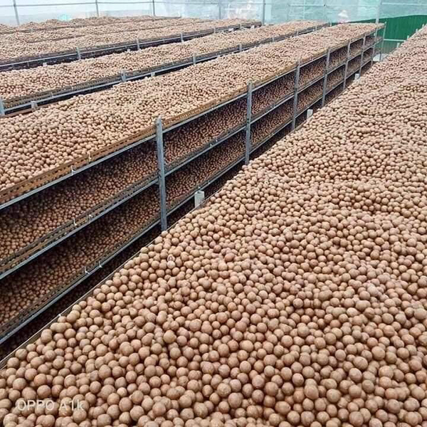 Công ty TNHH Hạt Dinh Dưỡng Nunuts