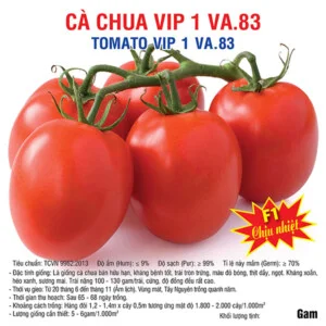 Việt á Seeds – Công Ty TNHH Phát Triển Nông Nghiệp Việt Á