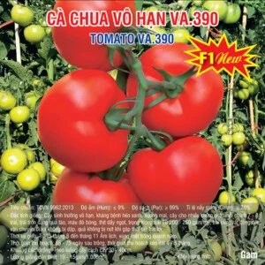 Việt á Seeds – Công Ty TNHH Phát Triển Nông Nghiệp Việt Á