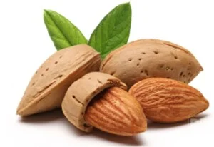 Công Ty Cổ Phần Thương Mại Xuất Nhập Khẩu MinoFoods