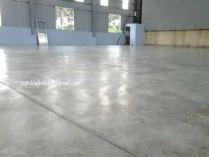 Công Ty TNHH Đỉnh Hinh