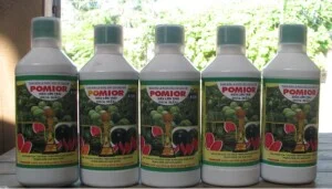 Công Ty Cổ Phần Giống – Vật Tư Nông Nghiệp Công Nghệ Cao Việt Nam