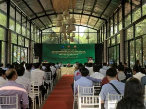 Hội Doanh Nhân Trẻ Long An