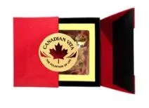 Công Ty Cổ Phần In Nhanh Viễn Đông