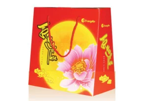 Bao Bì Giấy Hùng Vương – Công Ty Cổ Phần Bao Bì Hùng Vương