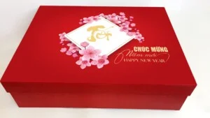 Hộp Giấy Việt Nhật – Công Ty TNHH Thương Mại In ấn Bao Bì Việt Nhật