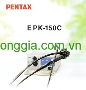 Công Ty TNHH Thương Mại Dương Gia