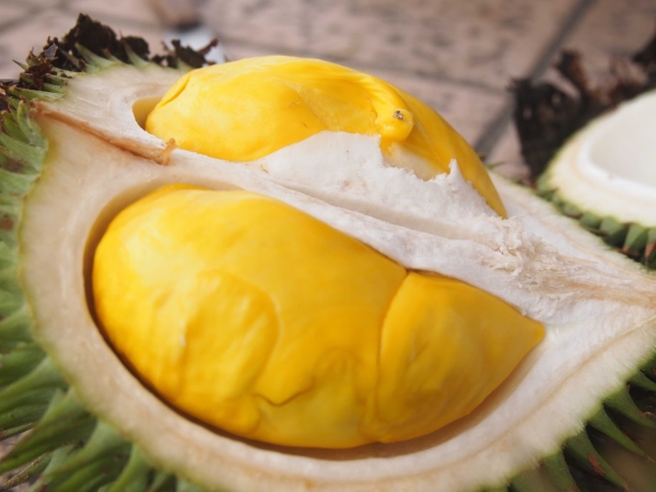 Hương Liệu Tân Phú Cường – Công Ty TNHH Thương Mại Tân Phú Cường