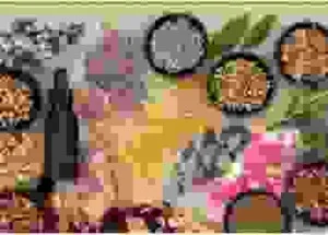 Công Ty TNHH Thương Mại Dịch Vụ Sản Xuất Liên Kết Xanh