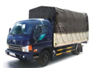 Công Ty TNHH Dịch Vụ Thương Mại Trường Giang