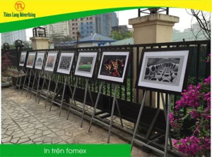 Thiên Long ADV – Công Ty TNHH Thương Mại Quảng Cáo Thiên Long