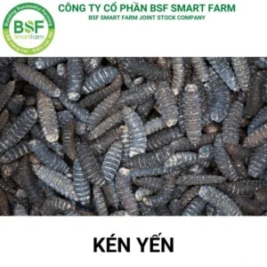 Công Ty Cổ Phần BSF Smart Farm