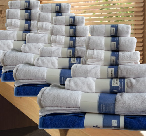 Công Ty TNHH Việt Chang