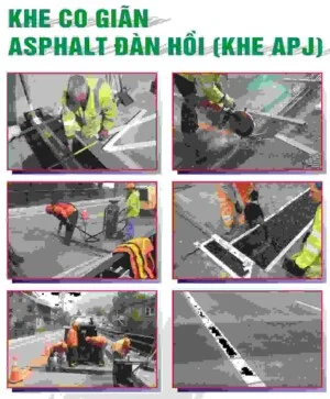 Công Ty TNHH Tổng Hợp Trường Tín