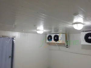 Kho Lạnh Foc Việt – Công Ty TNHH Foc Việt