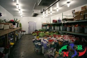 Công Ty Cổ Phần Cơ Điện Lạnh Nam Bắc