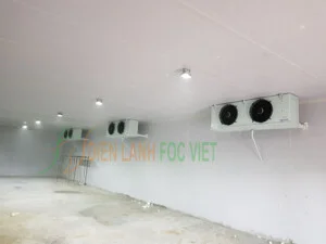 Kho Lạnh Foc Việt – Công Ty TNHH Foc Việt