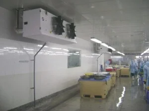 Điện Lạnh Southeree – Công Ty TNHH Kỹ Thuật Lạnh Phương Nam