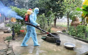 Diệt Côn Trùng Trí Tuệ – Công Ty Trừ Mối Và Diệt Côn Trùng Trí Tuệ
