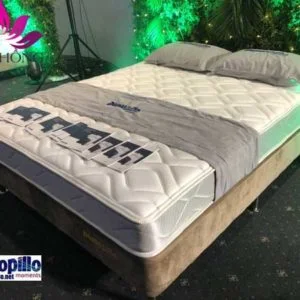 Đệm Hồng – Công Ty TNHH Đầu Tư Và Sản Xuất Đệm Hồng