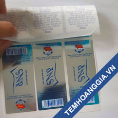Chi Nhánh – Công Ty Cổ Phần Giải Pháp Đóng Gói Hoàng Gia