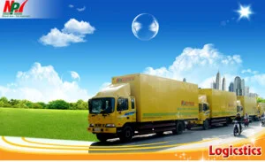 Vận Tải Nhất Phong Vận – Công Ty Cổ Phần Nhất Phong Vận