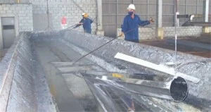 Công Ty Cổ Phần Việt Vương