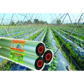 Công Ty Cổ Phần Bao Bì Sài Gòn