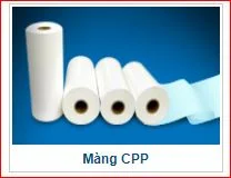 Công Ty TNHH Cổ Phần Bao Bì Nhựa Thiên Hà