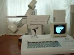 Chi Nhánh Công Ty Cổ Phần Giám Định Đại Việt Tại Hà Nội
