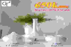 Công Ty TNHH Thương Mại Và Dịch Vụ Vietbeauty