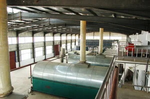 Máy Chế Biến Thực Phẩm QFV – Công Ty TNHH QFV