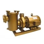 Công Ty Cổ Phần Đầu Tư Và Xây Lắp Thiết  Bị Bể Bơi Nhật Thành