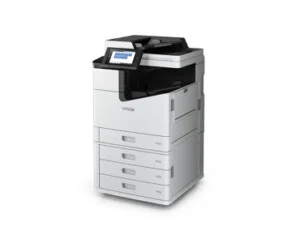 Công Ty TNHH Thương Mại Đồng Nam – Chi nhánh Hà Nội