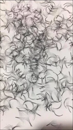 Cơ Sở Sản Xuất Lông Mi Cherry