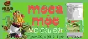 Cà Phê Phú Xuân –  Hộ Kinh Doanh Cà Phê Kim Yến