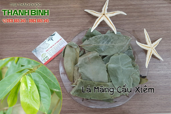 Công Ty TNHH Trà Thảo Dược Thanh Bình