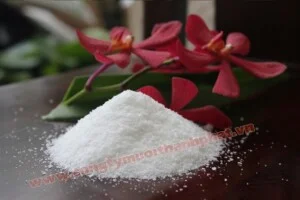 Muối Thành Phát – Công Ty TNHH Muối Thành Phát