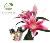 Hương Liệu Việt úc – Công Ty Cổ Phần Xuất Nhập Khẩu Hương Liệu Việt úc
