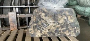 Cơ Sở Phân Phối Nấm Mèo