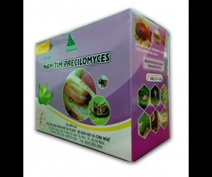 Công Ty TNHH Sản Xuất Thương Mại Hoàng Thái Nông