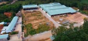 Công Ty TNHH Một Thành Viên Tiến Hùng BP