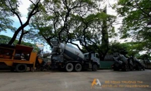 Công Ty Cổ Phần Thương Mại Dịch Vụ Xây Dựng Trường Thi