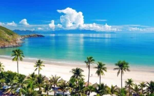Công Ty TNHH Dịch Vụ Du Lịch Top Ten