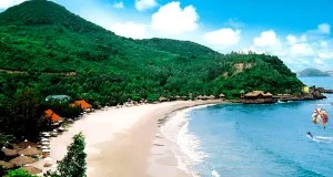 Công Ty TNHH Du Lịch Thương Mại Tân Đại Lục