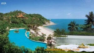 Công Ty TNHH Du Lịch Thương Mại Tân Đại Lục