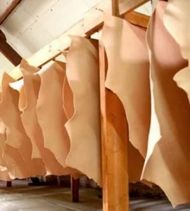 Công Ty TNHH MTV TM DV Du Lịch Iran Việt Nam