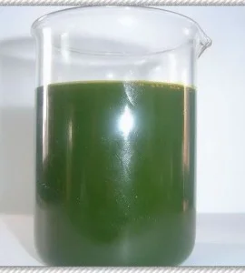 Công Ty TNHH MTV TM DV Du Lịch Iran Việt Nam