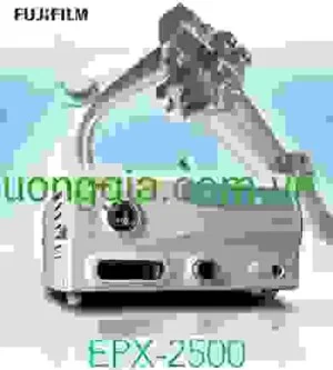 Công Ty TNHH Thương Mại Dương Gia