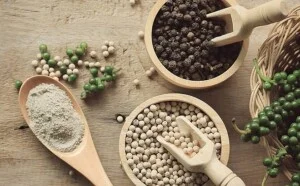 Xuất Nhập Khẩu J&D – Công Ty TNHH Xuất Nhập Khẩu Tổng Hợp J&D